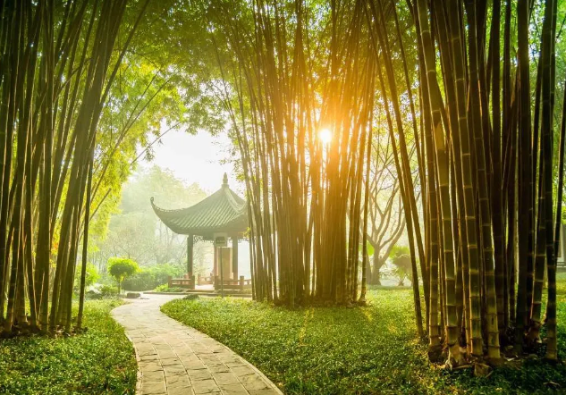 早起三不要，飯后三不急，睡前三不宜