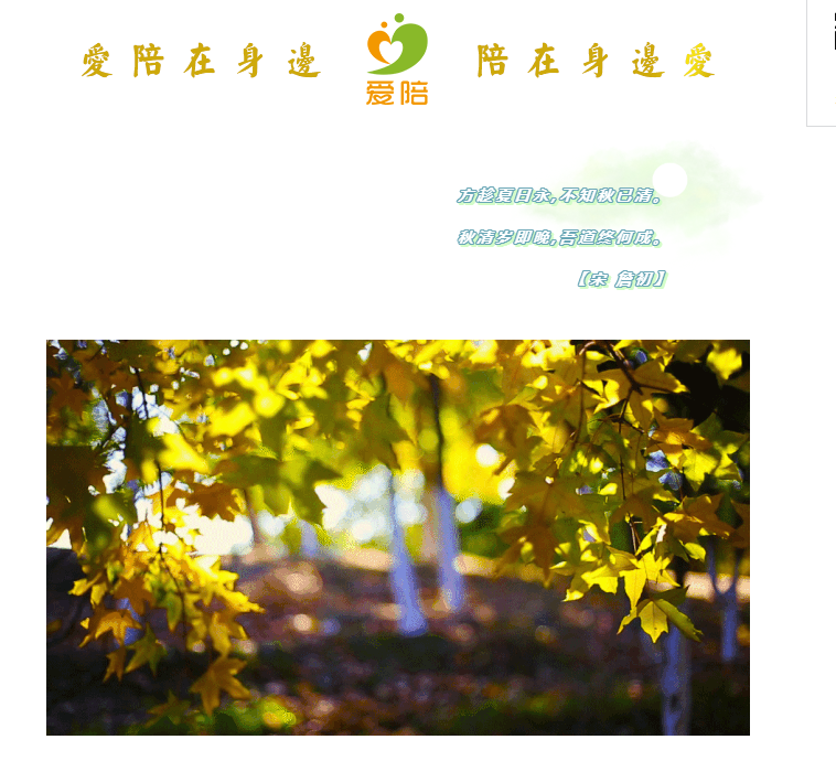 秋清歲即晚，吾道終何成？--共享陪護床為何而生