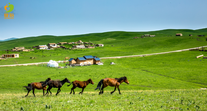 愛在江湖，陪在親情——愛陪供入湘贛地區(qū)提供便民服務(wù)回顧